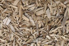 biomass boilers Wood Hall